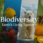 Biodiversity